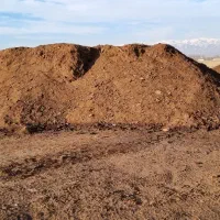 کود حیوانی خشک و پوسیده