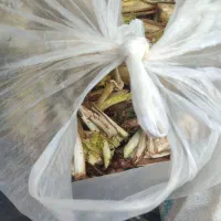 سلام 30کیلوکنگردرجه یک کیلو90000تومان