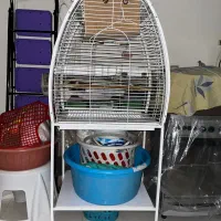 قفس پرندگان