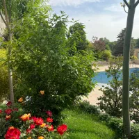 ۳۳۰ متری ۴ خوابه اپارتمان ، باغ ویلایی سعد اباد|فروش آپارتمان|تهران, تجریش|دیوار