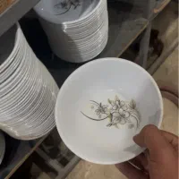 ظروف ملامین وپرژکتر