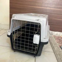 باکس سگ نژاد کوچیک