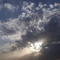 کارگر ساده متاهل واسه کار گاوداری