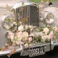 گل آرایی میرا