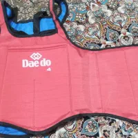 هوگوی  ووشو