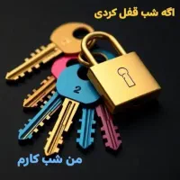 قفل و کلیدسازی.(باز کردن انواع قفل).