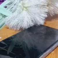 گوشی و دیگر لوازم منزل بعلت مهاجرت|موبایل|مشهد, نوده|دیوار