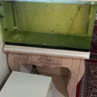 اکواریوم شیشه خم