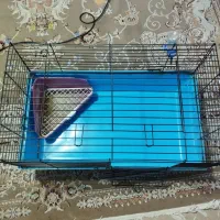 قفس خرگوش|لوازم جانبی حیوانات|شاهینشهر, شهرک مطهری|دیوار