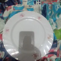 ظروف|ظروف سرو و پذیرایی|رشت, استادسرا|دیوار