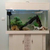 آکواریوم شیشه خم