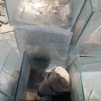 آکواریوم|ماهی|خمینی‌شهر, |دیوار