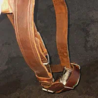 هیکلی علامت