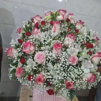 گل طبیعی|گل و گیاه طبیعی|تهران, دولتآباد|دیوار