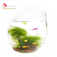 نیرو خانم جهت کار در بخش تولید گیاهان آبزی