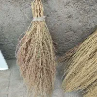 ج.ا.ر.و امسالی و محلی درجه یک|لوازم نظافت|نیشابور, بنیاد شهید|دیوار