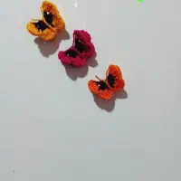 مگنت پروانه
