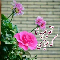 ساحل بار قزوین جابجایی اثاثیه منزل باکارگر|خدمات حمل و نقل|قزوین, |دیوار