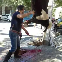 (  قصاب  سلاخ  حرفه ای  )