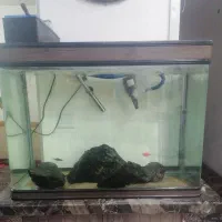 آکواریوم بزرگ شیشه خم