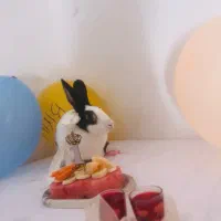 واگذاری رایگان ۲خرگوش ماده باهم|موش و خرگوش|مشهد, شهید آوینی|دیوار