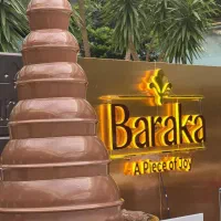 سرو آبمیوه طبیعی ، کباب بار ،فینگرفود ۰ تا ۱۰۰|خدمات پذیرایی، مراسم|تهران, ازگل|دیوار