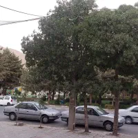 خانه مستقل بر خیابان مناسب دانشجو -رهن قابل تبدیل|اجارهٔ خانه و ویلا|کرمانشاه, |دیوار