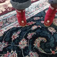 کفش کشتی|کیف، کفش، کمربند|چهارباغ, |دیوار