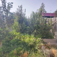 باغ کبودگنبد