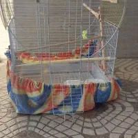 قفس پرنده ۲ عدد