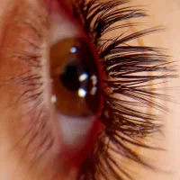 اکستنشن مژه و کاشت هیدن .لیفت ابرو .لیفت و مژه|خدمات آرایشگری و زیبایی|بندر گناوه, |دیوار