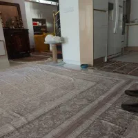 واگذاری گربه|گربه|شبستر, |دیوار