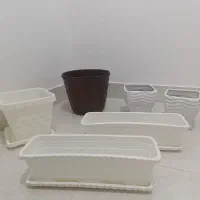 دکوری قیمت پایین|مجسمه، تندیس، ماکت|ایلام, |دیوار