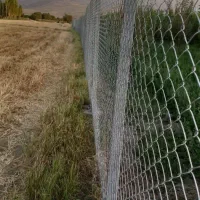 فنس کشی|خدمات باغبانی و درختکاری|خوی, |دیوار