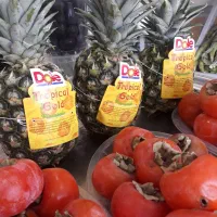 جذب نیروی کار