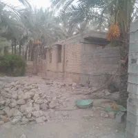 ۲۶۰متر زمین دیوار کشی مافی آباد|مصالح و تجهیزات ساختمان|خشت, |دیوار