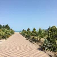 دبی استانبول آنتالیا ازمیر کمک سفر