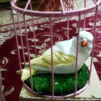 عروسک تزئینی|صنایع دستی و سایر لوازم تزئینی|خرمشهر, |دیوار