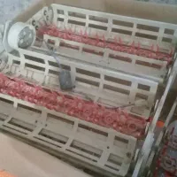 ترنر۹۶تایی اسکندری