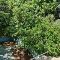 مستغلات جهت همه مشاغل