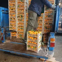 حمل بار به تهران.فوری.شبانه روزی|خدمات حمل و نقل|رشت, بیجارپس|دیوار