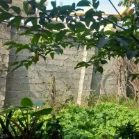 سیمانکاری دیوارچینی