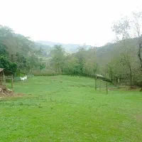 زمین مسکونی پلاک اول جنگل  ماسال|فروش زمین و ملک کلنگی|صومعه‌سرا, |دیوار