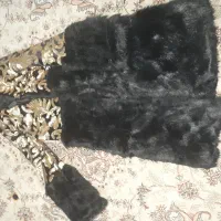 پالتو تمام خز داخل پشم شیشه شیک ، اسپرت|لباس|تهران, مینای شمالی (مخبر)|دیوار