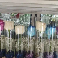 شاخه گل رز هلندی گیاه باکس دسته گل