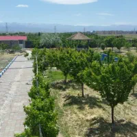 باغ چاه شماره ۲ / ۳۰۰۰ متر|فروش زمین و ملک کلنگی|گلبهار, نوبهار|دیوار