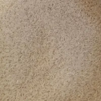 برنج فجر خوش پخت|خوردنی و آشامیدنی|گنبد کاووس, |دیوار