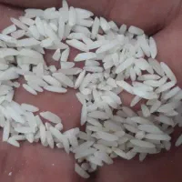 سر لاشه