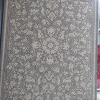 تعدادی فرش1200شانه تکی12متر9و6متر زیرقیمت کارخانه|فرش|زنجان, |دیوار