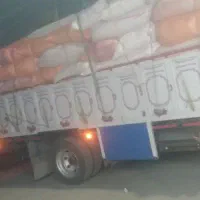 کاه ریز گوسفندی وگاوی